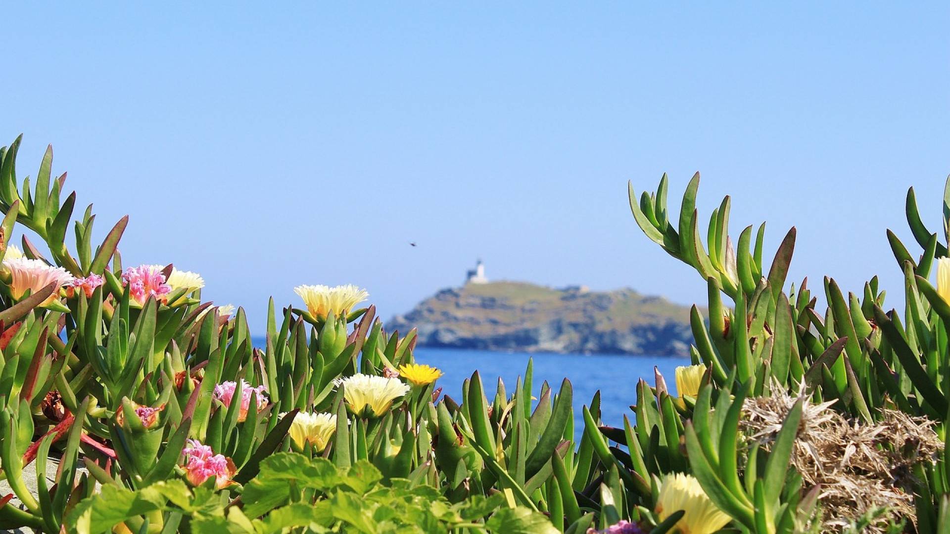 Partez à la découverte de la magnifique Corse pour vos vacances